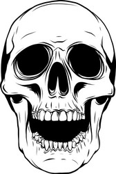 outline graphics skull Vector Image