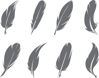 Bird feathers set Royalty Free Vector Image - VectorStock