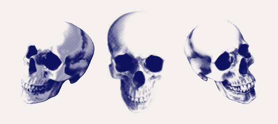 Halftone Skull Trio Vector Image