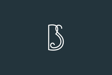 Minimal initial letter bs or sb logo design Vector Image
