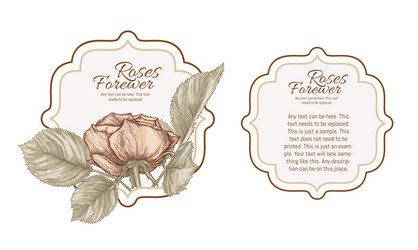 Set face and back labels for products Royalty Free Vector