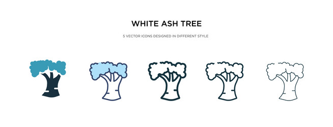 White ash tree icon in different style two vector