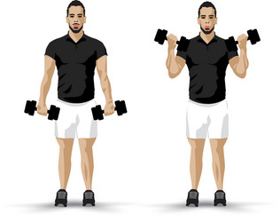 Woman doing dumbbell bicep hammer curls Royalty Free Vector