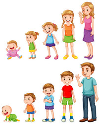 Child Growing Up Vector Art, Icons, and Graphics for Free Download