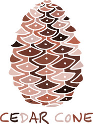 Cedar cone sketch for your design vector