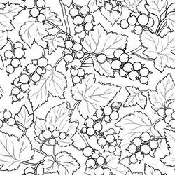 Red currant pattern on white background vector