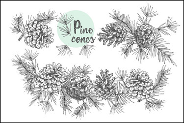 set card template with pattern realistic botanical vector image