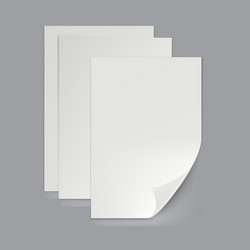 empty a3 a4 or a5 folded paper sheet vector image