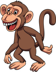 Monkey Royalty Free Vector Image - VectorStock