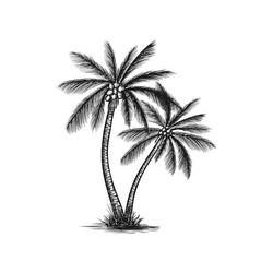 Coconut palm tree icon simple style Royalty Free Vector