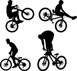 Bmx Royalty Free Vector Image - VectorStock