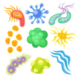 Flat set of various viruses structures vector