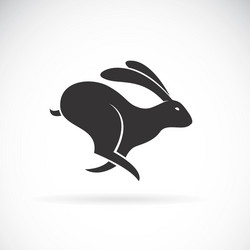 Rabbit Racing Logo Vector Racing Rabbit Logo Royalty Free Vector Image - VectorStock
