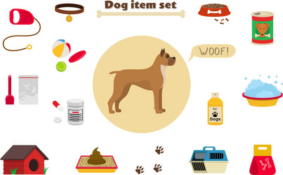 dog items set care object and stuff elements vector