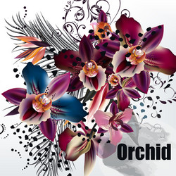 Tropical Orchid Floral Background Vector Image