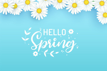 hello spring design with 3d realistic fresh vector image