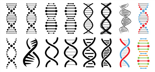 dna string code icons set flat helix spiral vector