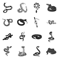 Isolated object snake and creepy logo vector