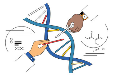 Crispr cas9 gene editing tool genome edits human Vector Image