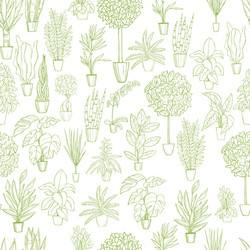 Cactus plants texture seamless pattern background Vector Image