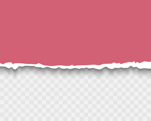 torn paper with ripped edges and soft shadow vector image