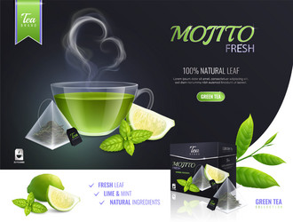 Mojito tea collection composition vector