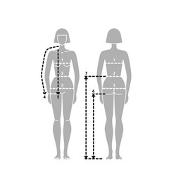 Man body measurement chart taking Royalty Free Vector Image