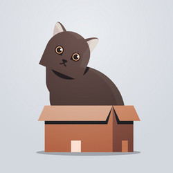 Cute cat sitting in cardboard box fluffy adorable vector