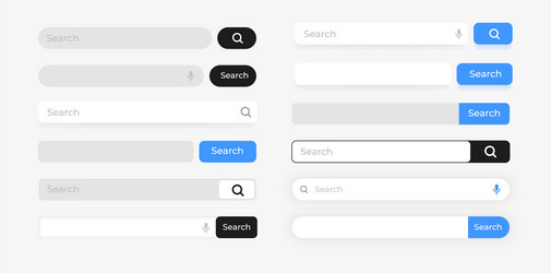 Website Search Input Box vector image