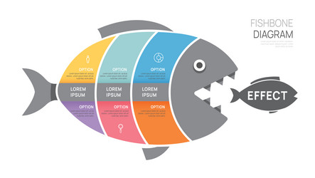 Fishbone Diagram - Cause and Effect Analysis vector image