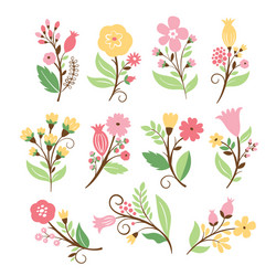 Floral Celebration Set Vector Image