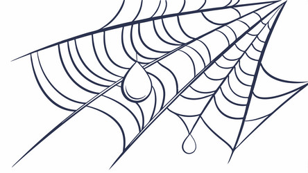 intricate spider web pattern natural structure vector image