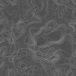 seamless pattern topographic map background vector