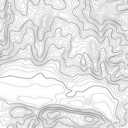 topographic map background with space for copy vector image