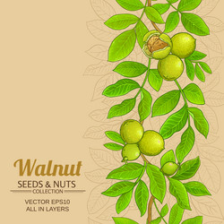 Walnut branches pattern on color background vector