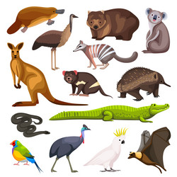Set funny cartoon australian animals - emu Vector Image