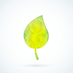 Eco green leaves abstract ecology Royalty Free Vector Image