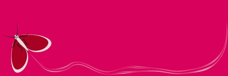 Frame on a sheet of 4x1 format vector