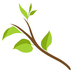 Branch with green leaves spring vector