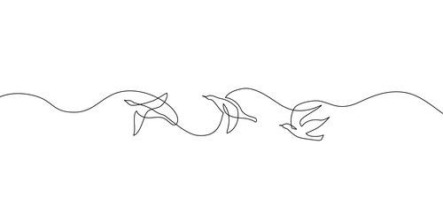 abstract flying birds continuous line drawing vector image