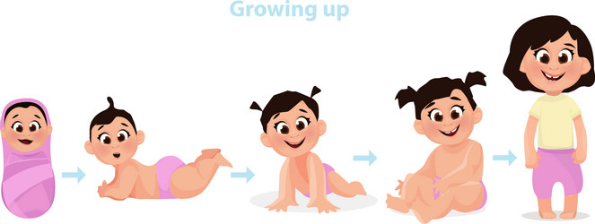 Age measurement growth boy and girl stages vector