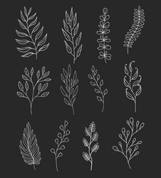 outline twigs and sprigs floral embellishments vector