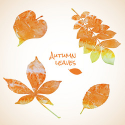 Colorful set of watercolor leaves vector