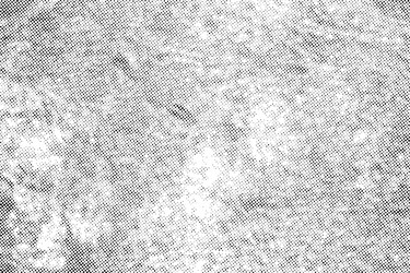 dots pattern abstract halftone texture background vector image