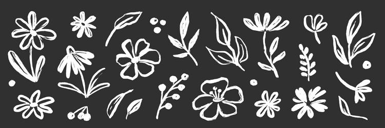flower brush paint stroke set hand drawn floral Vector Image