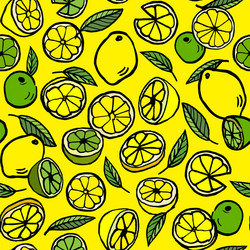 pattern with lemon and lime vector image