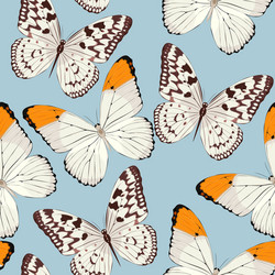 Colorful butterflies seamless vector