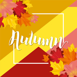 colorful card or banner with autumn leaves Vector Image