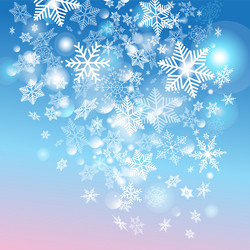 With snowflakes vector