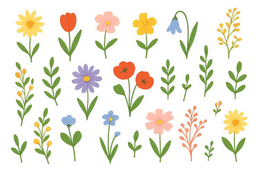 collection of colorful spring flowers and branches Vector Image